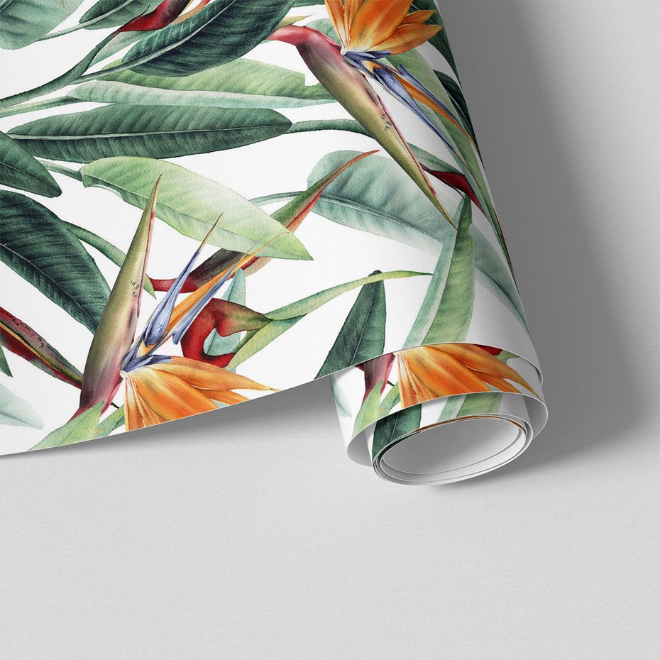 Tapeta - kwiat, liść, tropiki