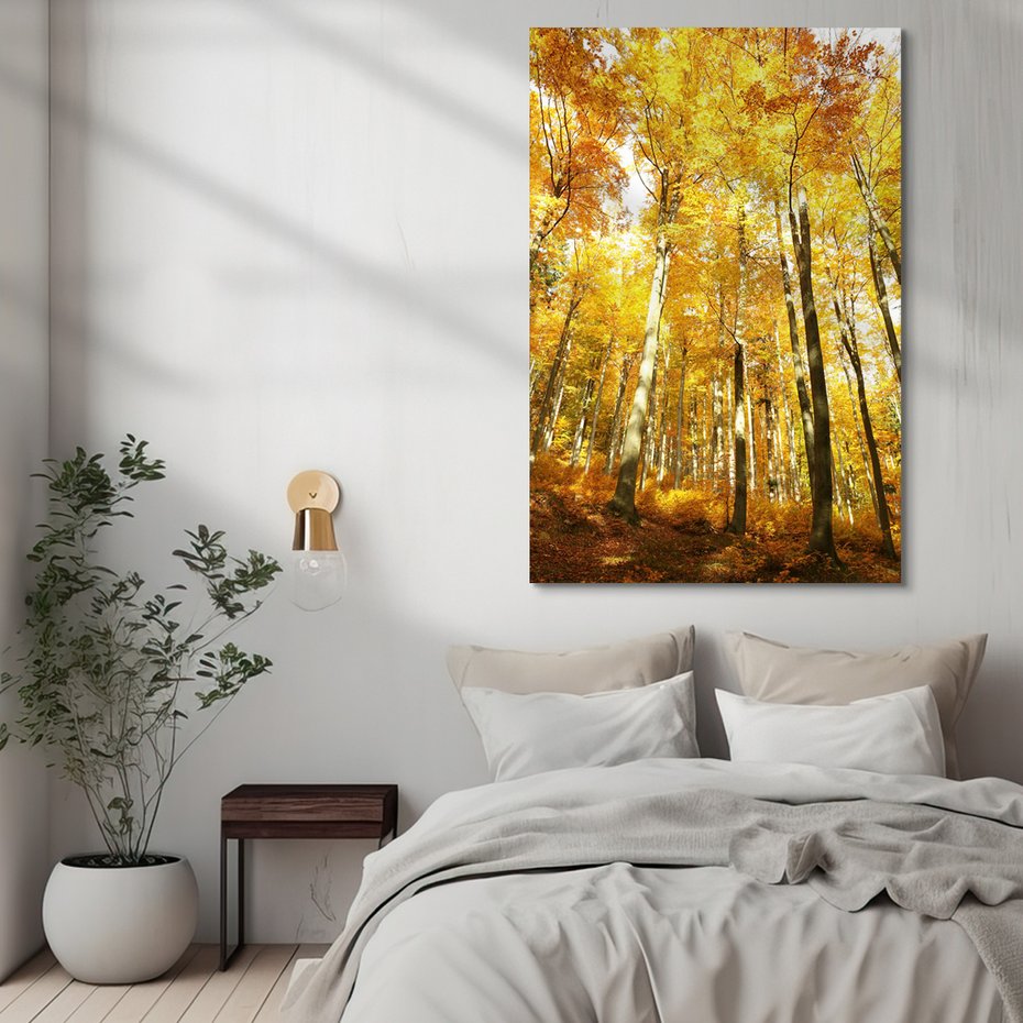 Obraz na płótnie - las, jesień, drzewa