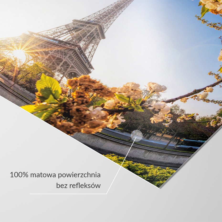 Fototapeta - Paryż, Wieża Eiffla, kwiaty