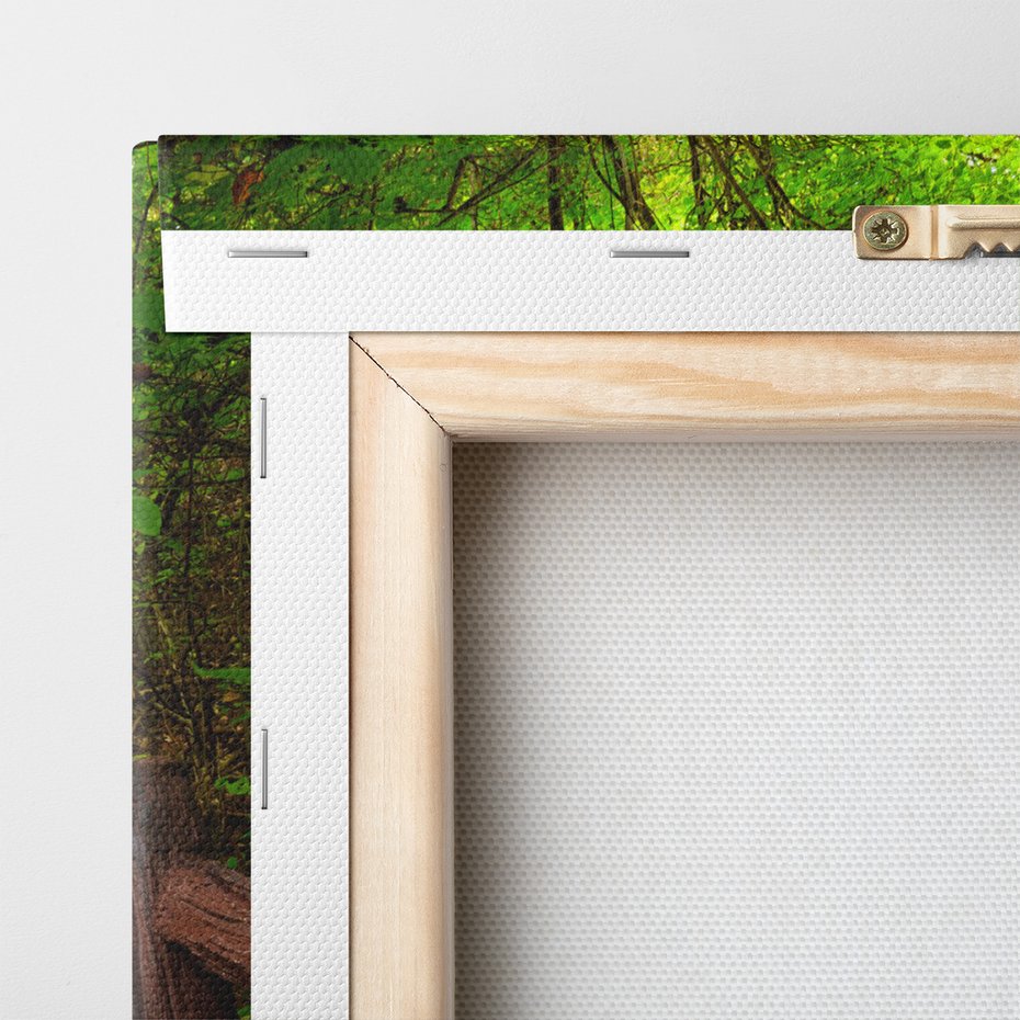 Obraz na płótnie - schody, las, natura