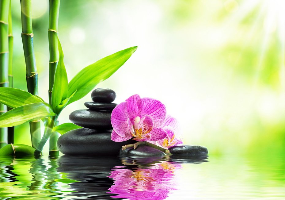 Fototapeta - orchidea, kamienie, bambus