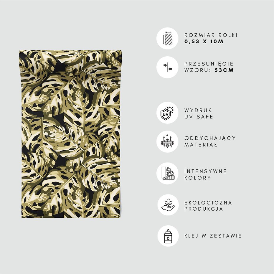 Tapeta - liście, monstera, natura