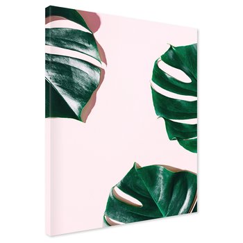 Obraz na płótnie - liście, monstera, roślina