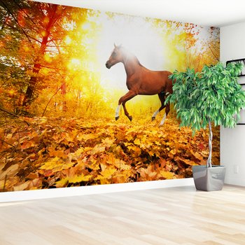 Fototapeta - koń, las, jesień