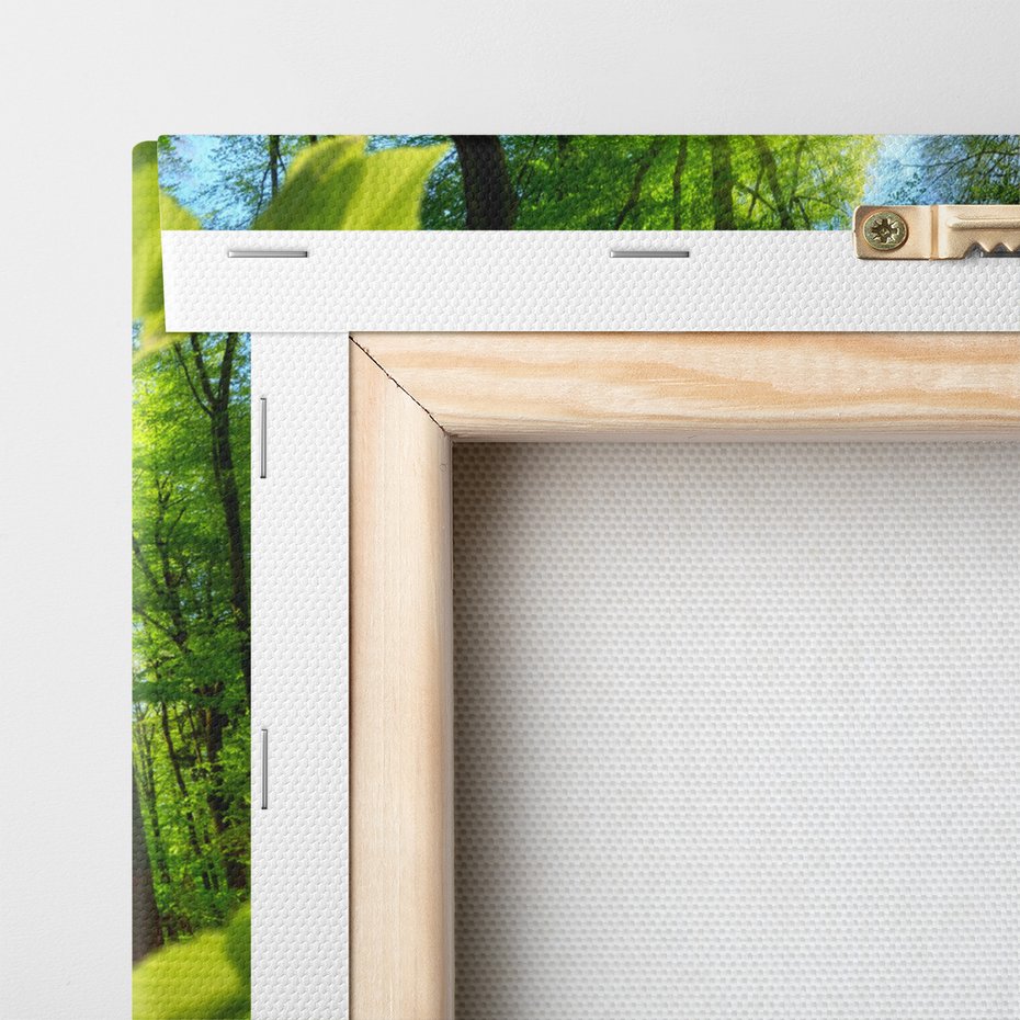 Obraz na płótnie - las, słońce, natura