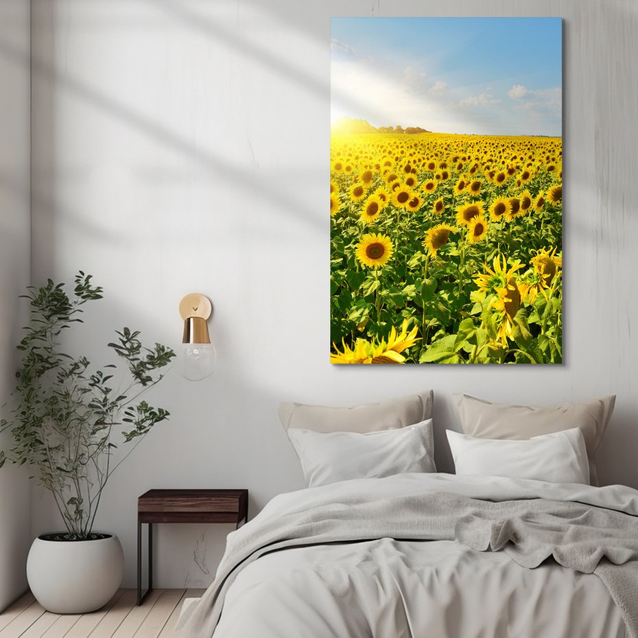 Obraz na płótnie - słoneczniki, pole, lato