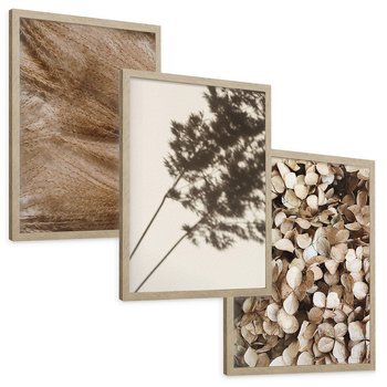 Zestaw obrazy w ramie, plakaty - rośliny, cienie, susz - rama drewno