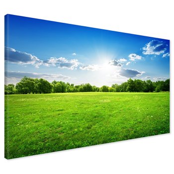 Obraz na płótnie - łąka, niebo, chmury