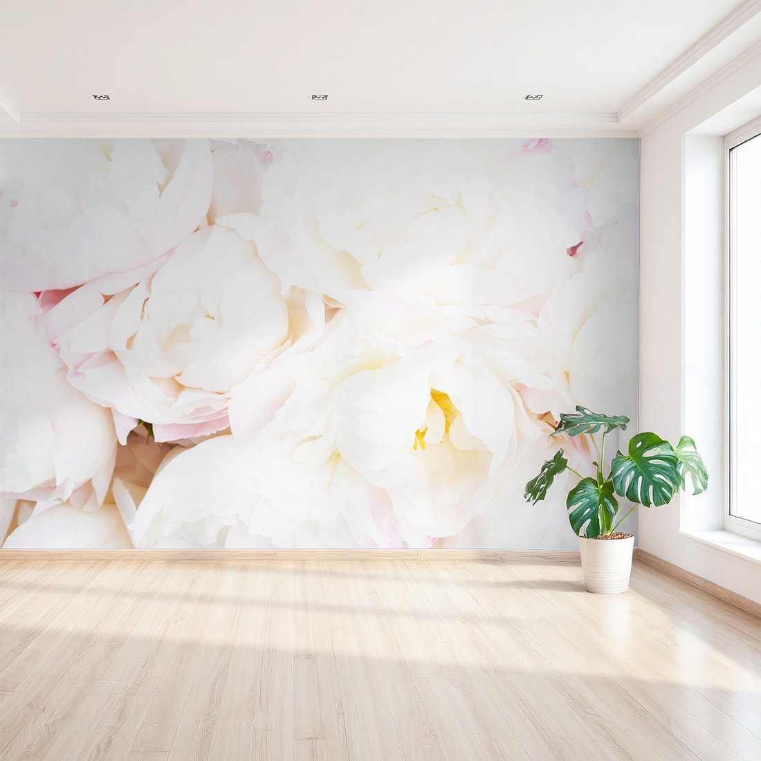 Fototapeta - kwiaty, białe, płatki