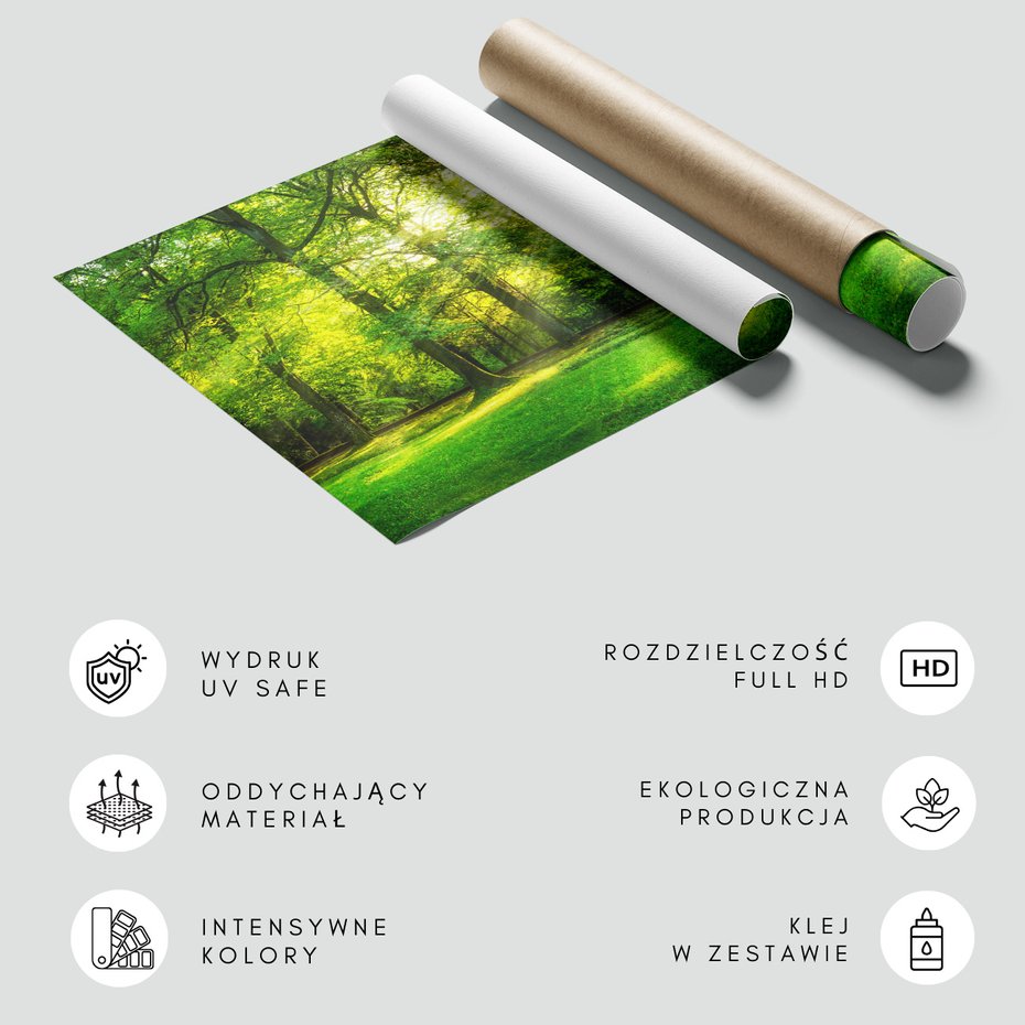 Fototapeta - las, drzewa, słońce