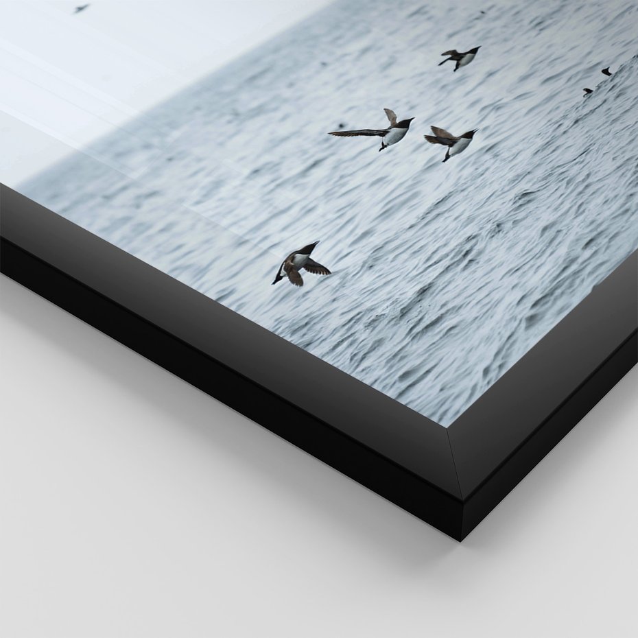 Zestaw obrazy w ramie, plakaty - ptaki, morze, łodzie - rama czarna