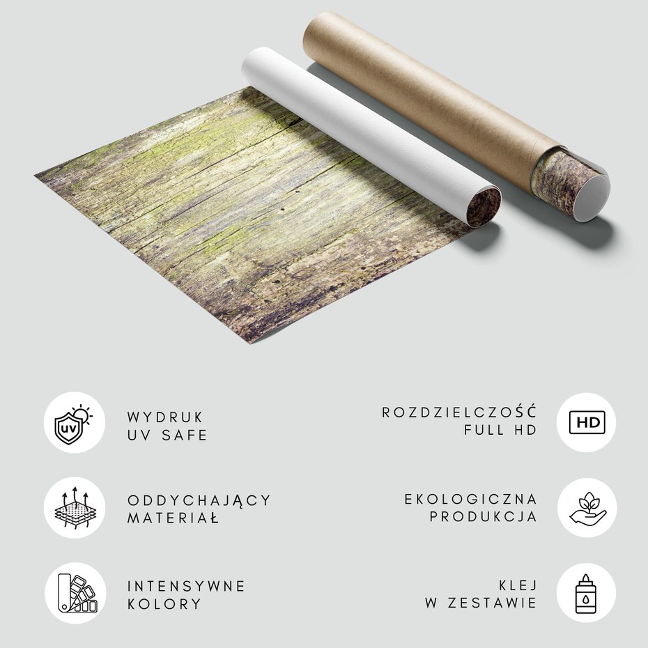 Fototapeta - drewno, kora, tekstura