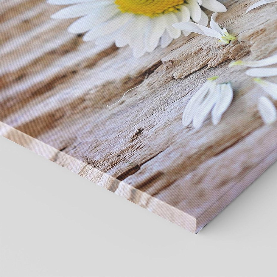 Obraz na płótnie - kwiaty, stokrotki, natura