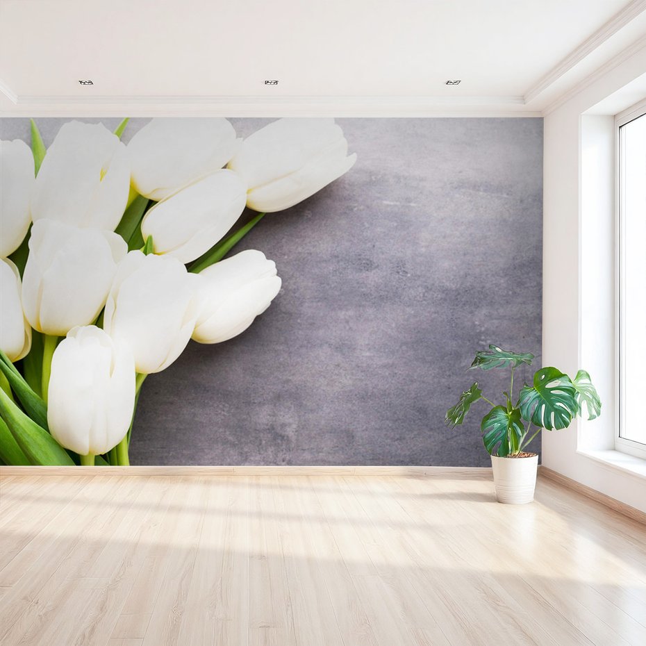 Fototapeta - tulipany, kwiaty, biel,