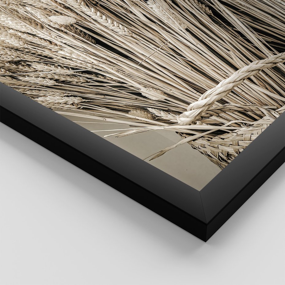 Zestaw obrazy w ramie, plakaty - wieś, rolnictwo, plony - rama czarna