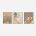 Zestaw obrazy w ramie, plakaty - kwiaty, roślina, suszone - rama drewno