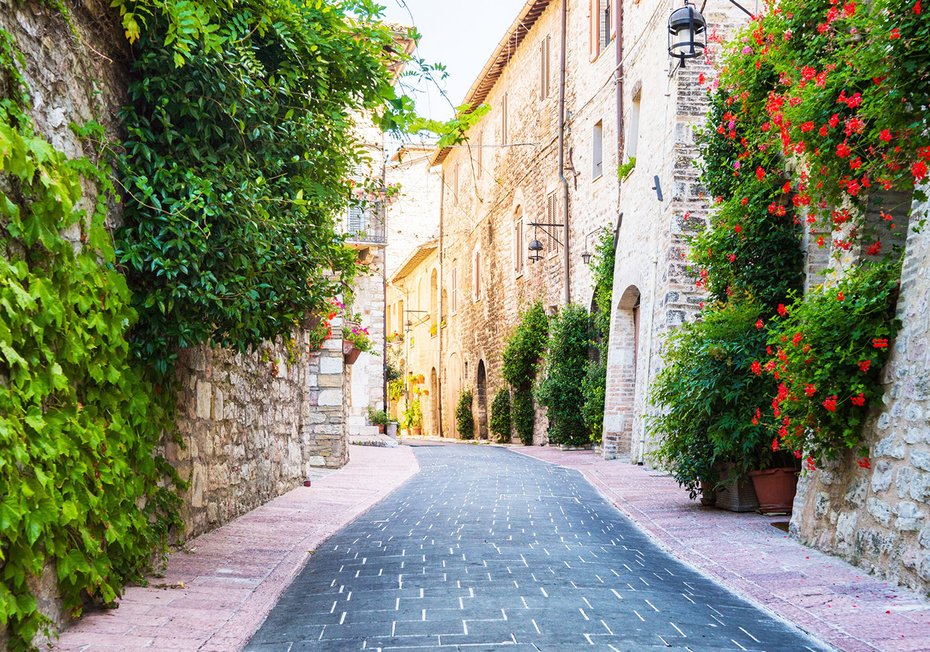 Fototapeta - uliczka, kwiaty, roślinność