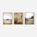 Zestaw obrazy w ramie, plakaty - krajobraz, natura, dom - rama drewno