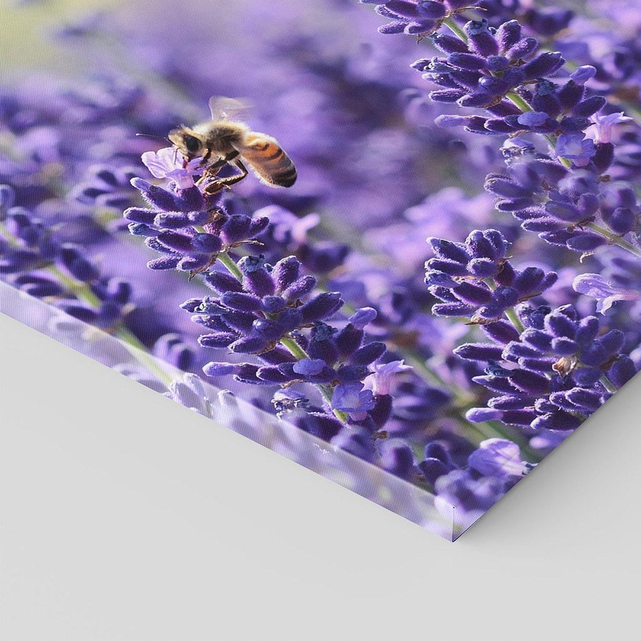Obraz na płótnie - lawenda, pszczoły, kwiaty