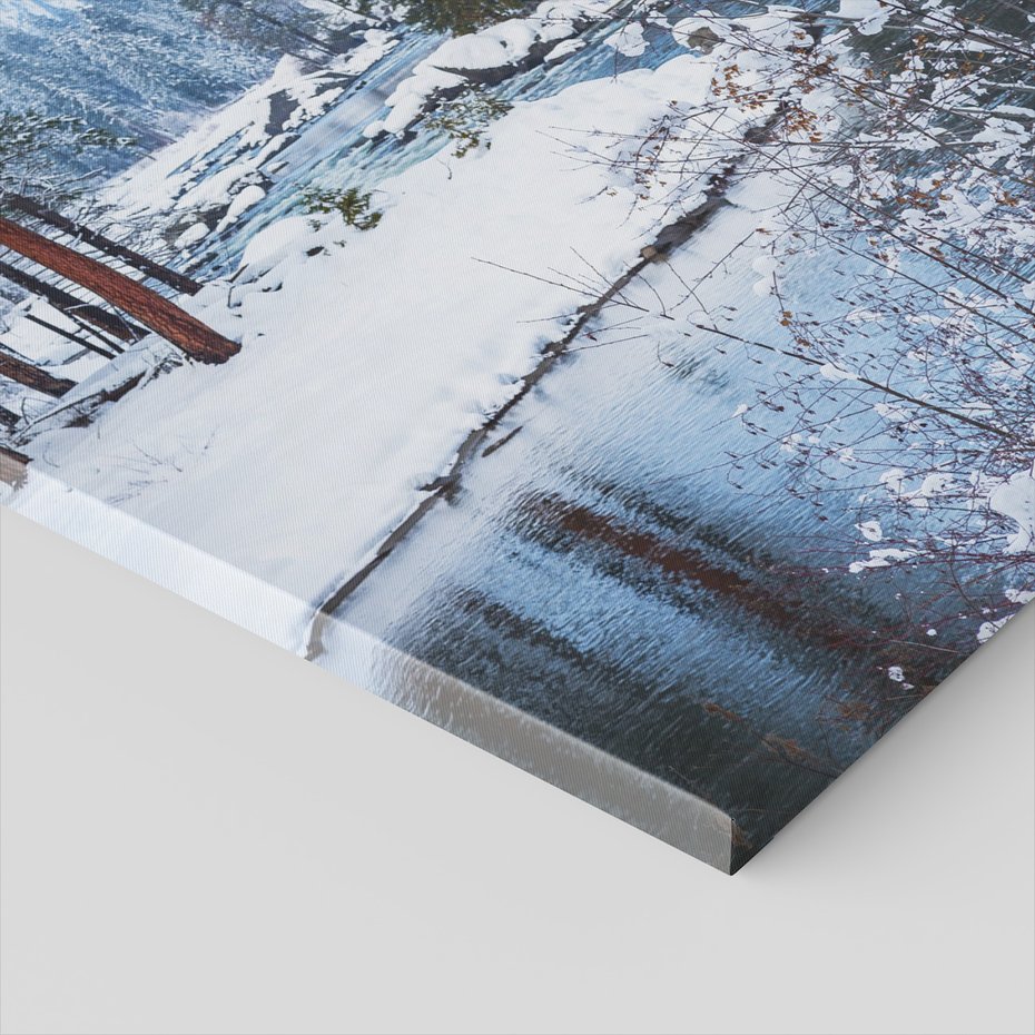 Obraz na płótnie - zima, śnieg, las