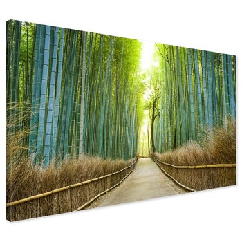 Obraz na płótnie - bambusowy, las, ścieżka