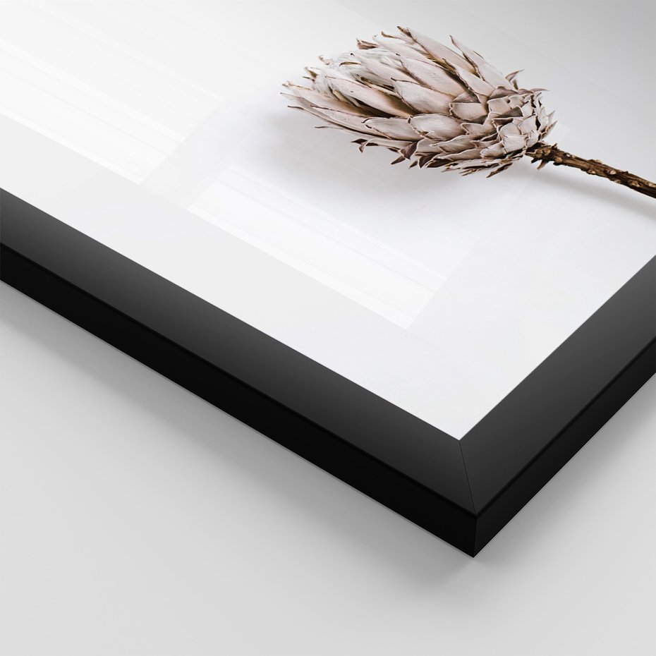 Zestaw obrazy w ramie, plakaty - kwiaty, napisy, protea - rama czarna