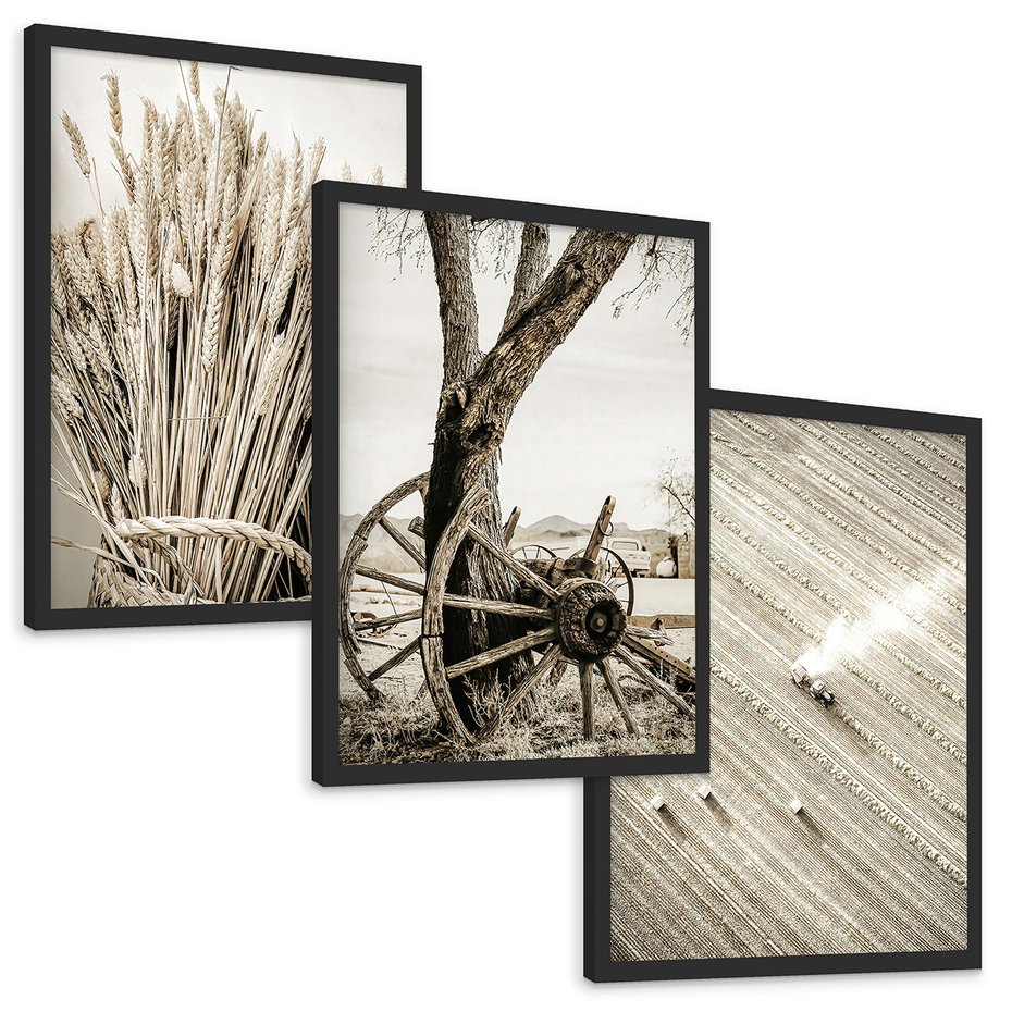 Zestaw obrazy w ramie, plakaty - wieś, rolnictwo, plony - rama czarna