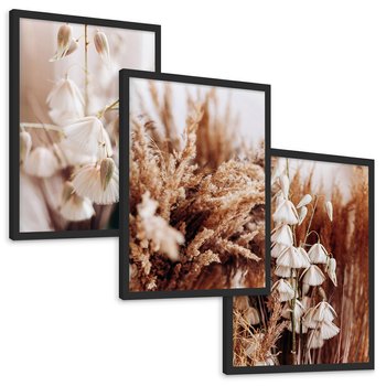 Zestaw obrazy w ramie, plakaty - kwiaty, trawa, pampasowa - rama czarna