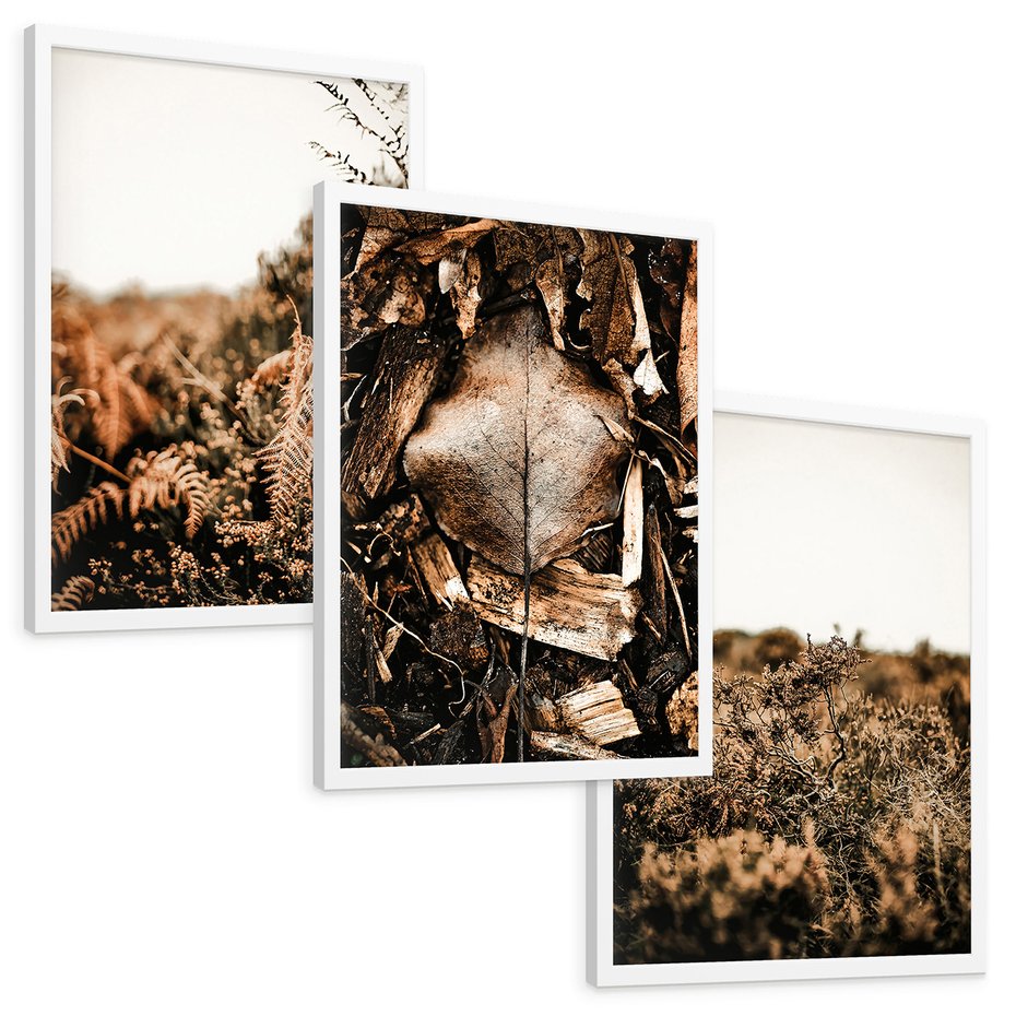 Zestaw obrazy w ramie, plakaty - liście, roślinność, brązowy - rama biała