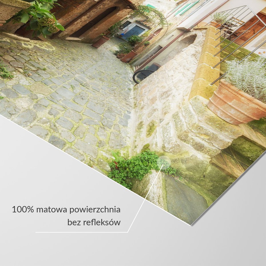 Fototapeta - uliczka, kwiaty, kamień