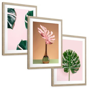 Zestaw obrazy w ramie, plakaty - monstera, liście, roślina - rama drewno