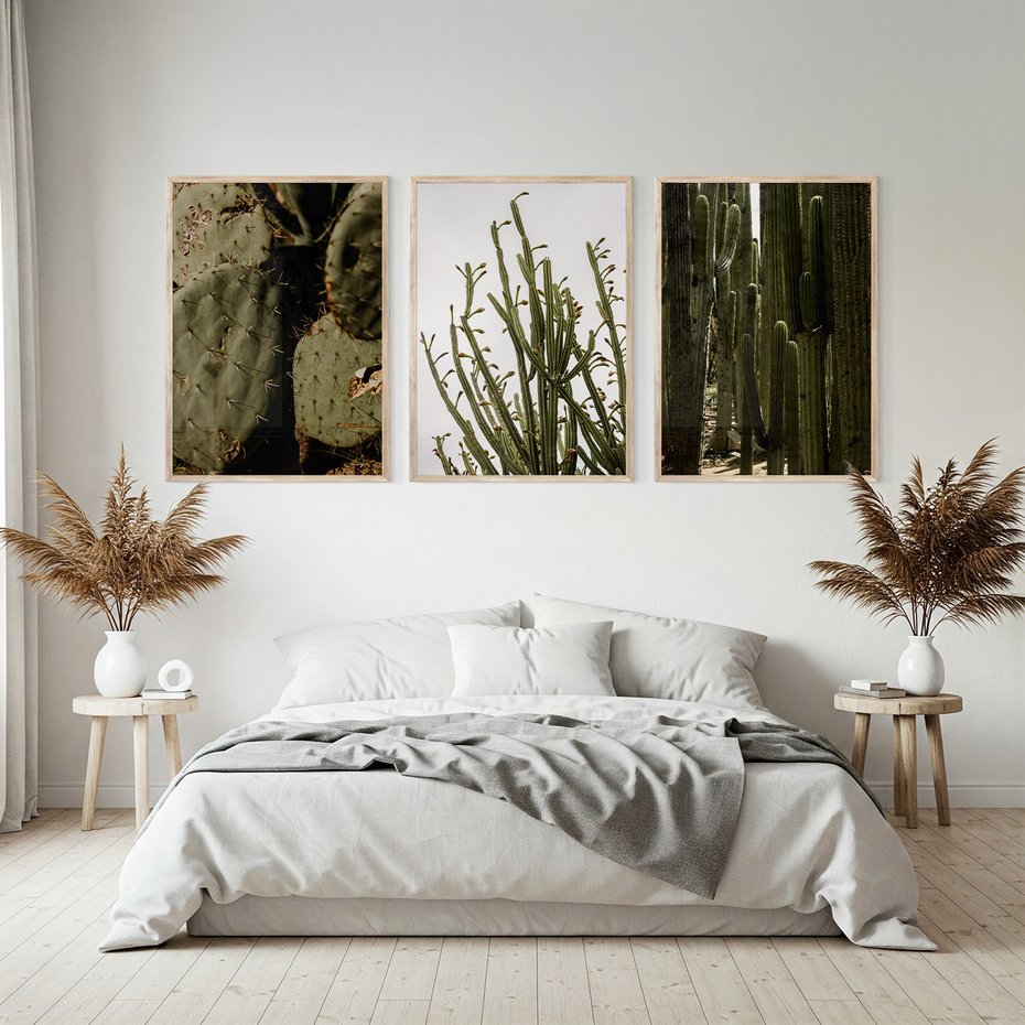 Zestaw obrazy w ramie, plakaty - kaktusy, rośliny, zielony - rama drewno