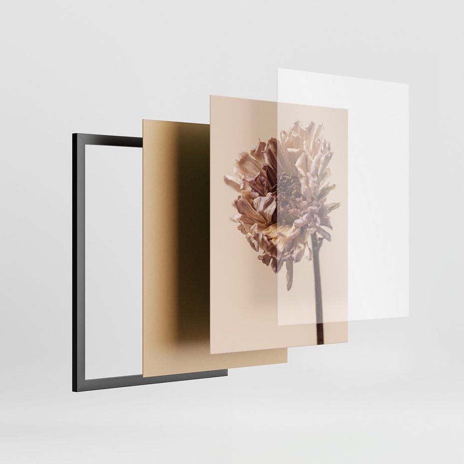 Zestaw obrazy w ramie, plakaty - liść, kwiat, suchy - rama czarna