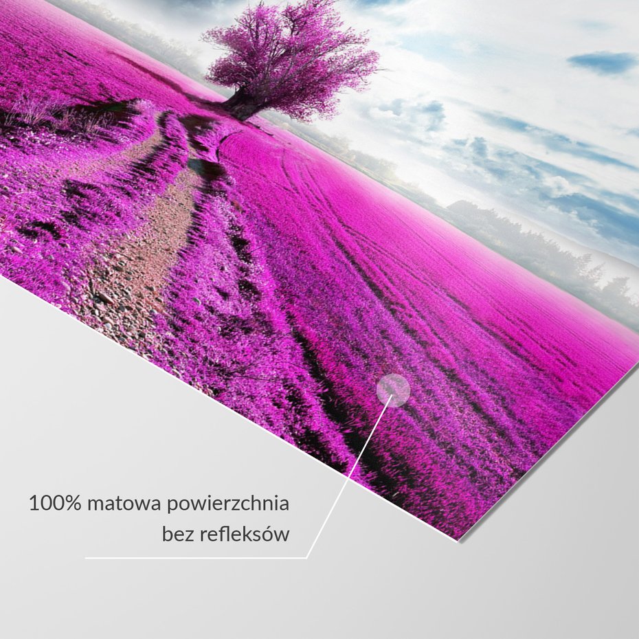 Fototapeta - pole, drzewo, różowy