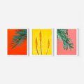 Zestaw obrazy w ramie, plakaty - liście, rośliny, kolory - rama biała