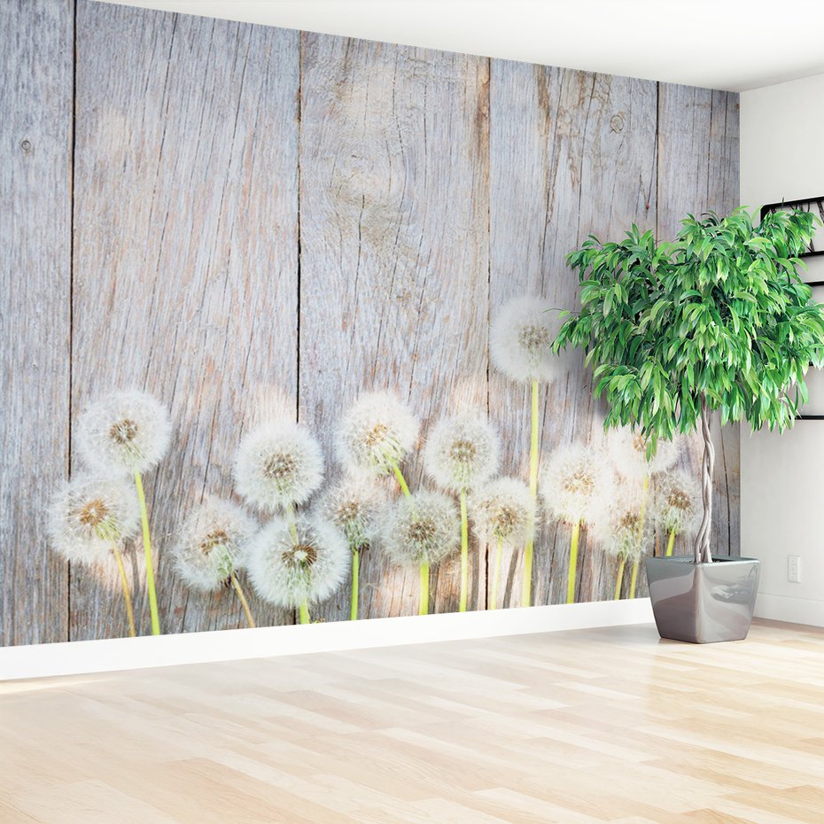 Fototapeta - dmuchawce, kwiaty, drewno
