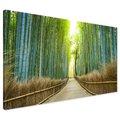 Obraz na płótnie - bambusowy, las, ścieżka