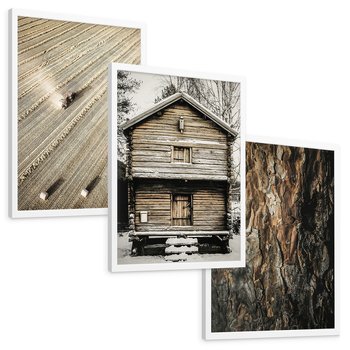 Zestaw obrazy w ramie, plakaty - ziemia, traktor, kora - rama biała