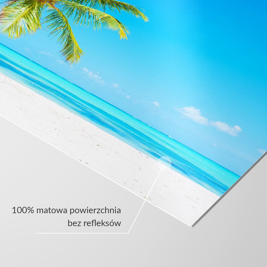 Fototapeta - palma, plaża, morze