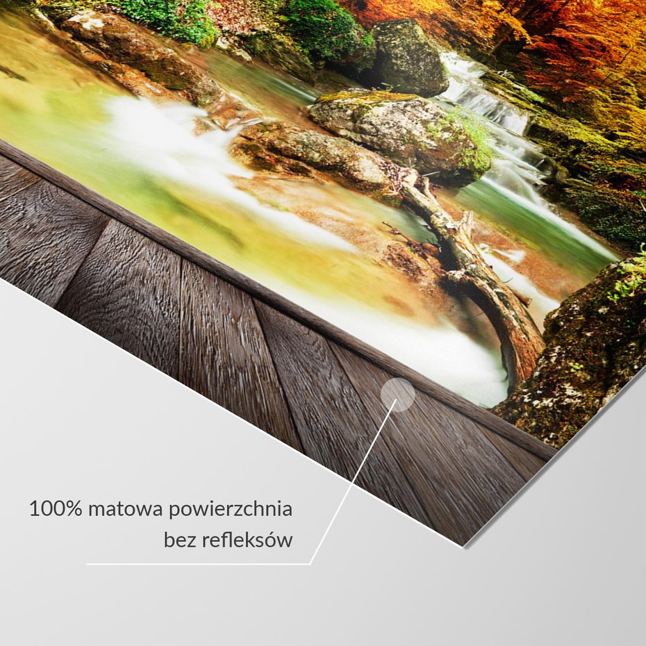 Fototapeta - jesień, las, wodospad