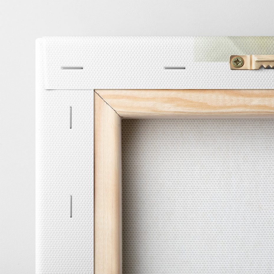 Obraz na płótnie - kwiaty, orchidee, białe,