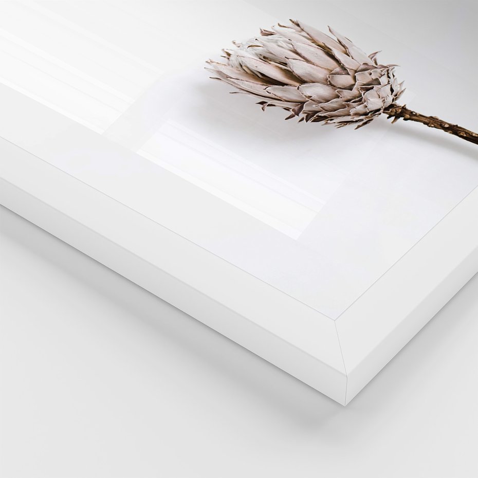 Zestaw obrazy w ramie, plakaty - kwiaty, napisy, protea - rama biała