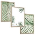 Zestaw obrazy w ramie, plakaty - liście, palmy, tropikalne - rama drewno