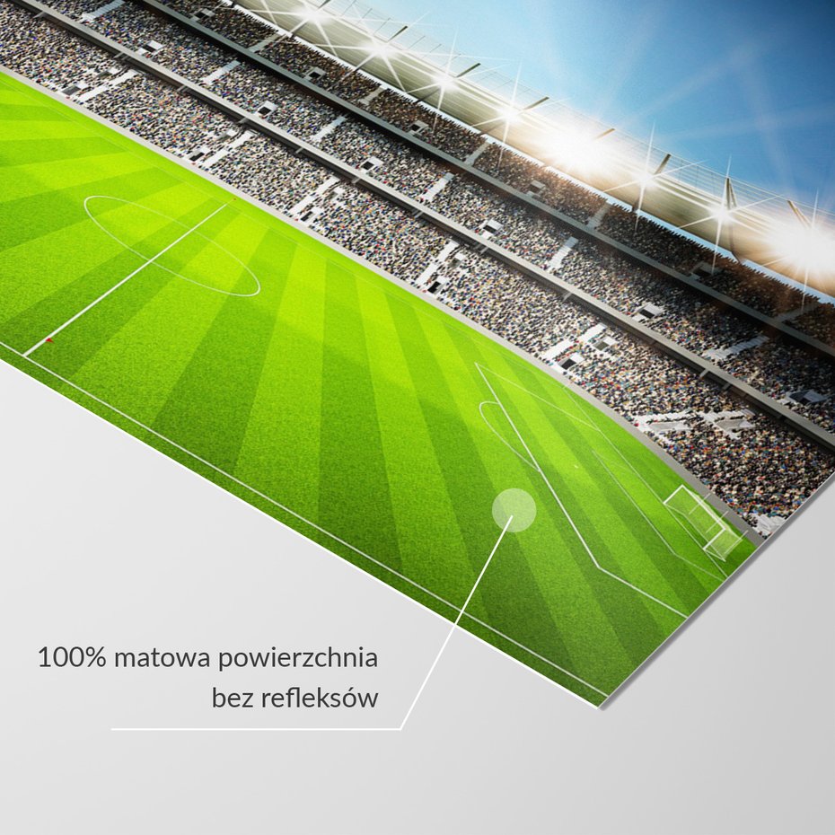 Fototapeta - stadion, piłka nożna, kibice