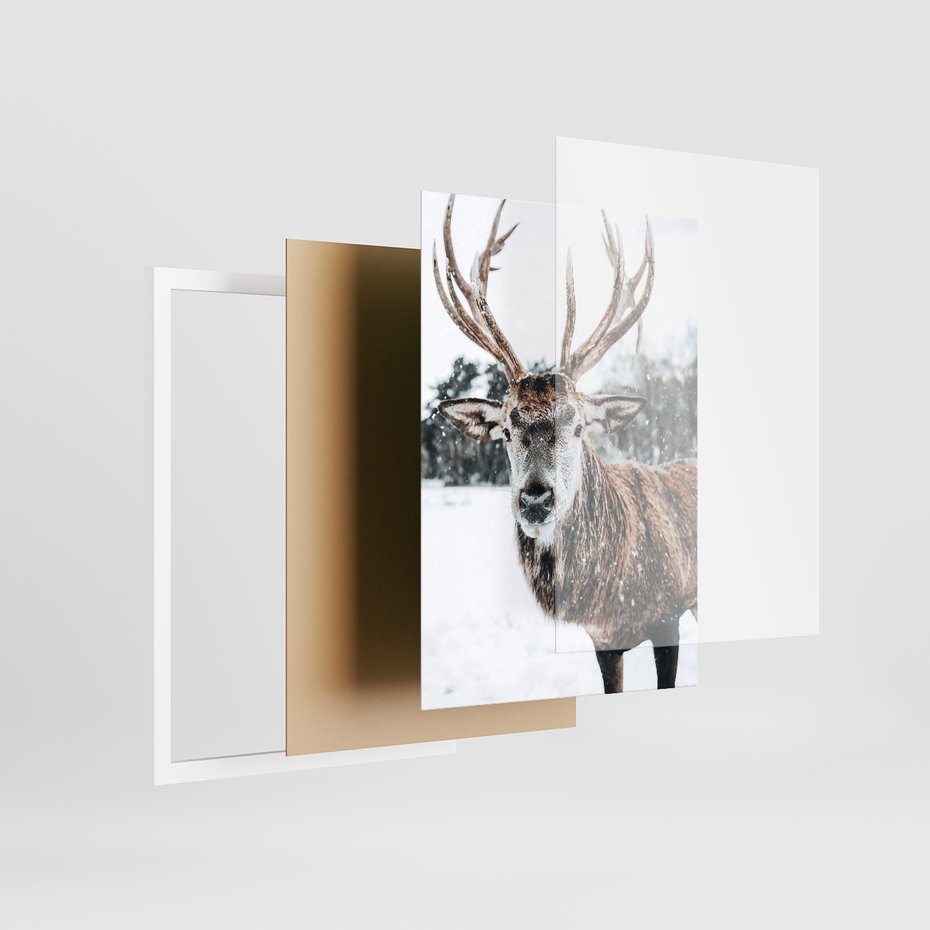 Zestaw obrazy w ramie, plakaty - zwierzęta, zima, śnieg - rama biała