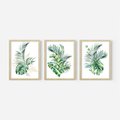 Zestaw obrazy w ramie, plakaty - liście, rośliny, tropikalne - rama drewno