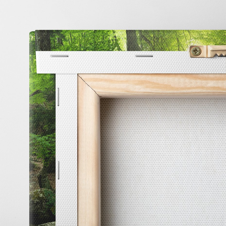 Obraz na płótnie - las, potok, woda