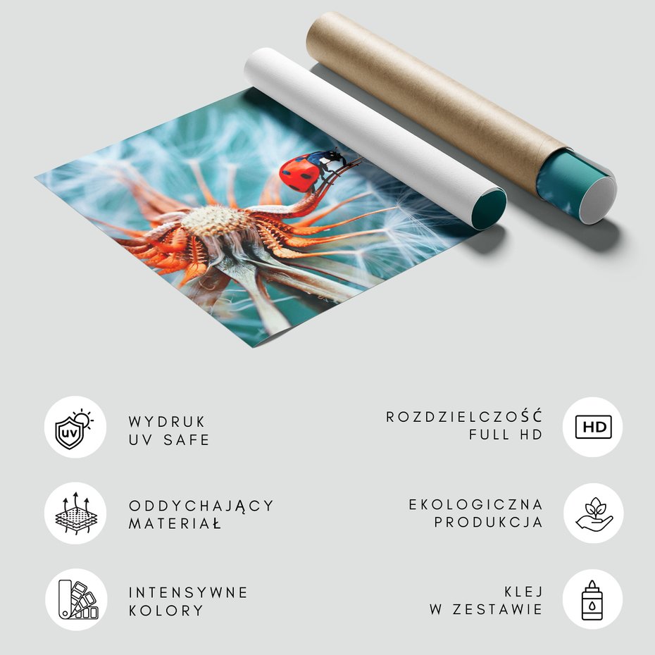 Fototapeta - biedronka, kwiat, natura