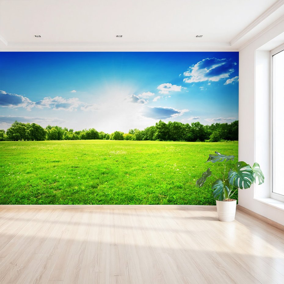 Fototapeta - krajobraz, łąka, drzewa