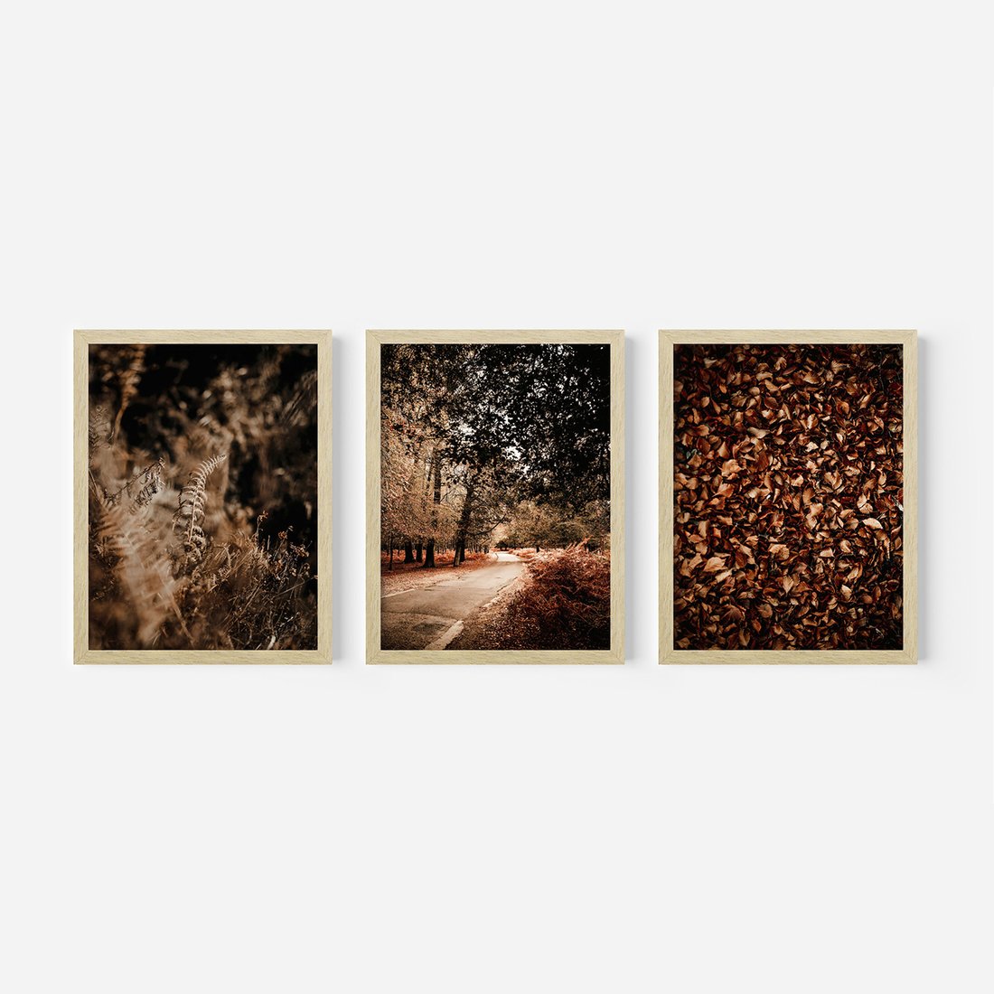 Zestaw obrazy w ramie, plakaty - jesień, liście, natura - rama drewno